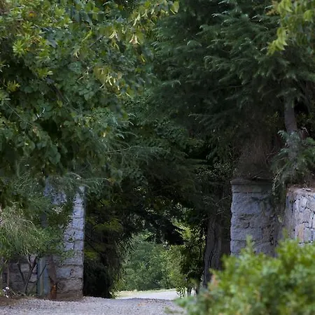 Bed & Breakfast Iradas