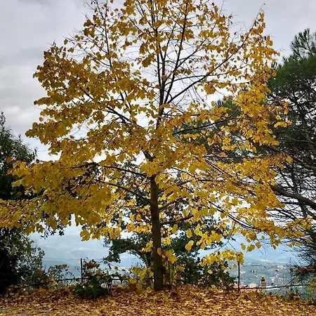 Iradas Panzió Lanusei