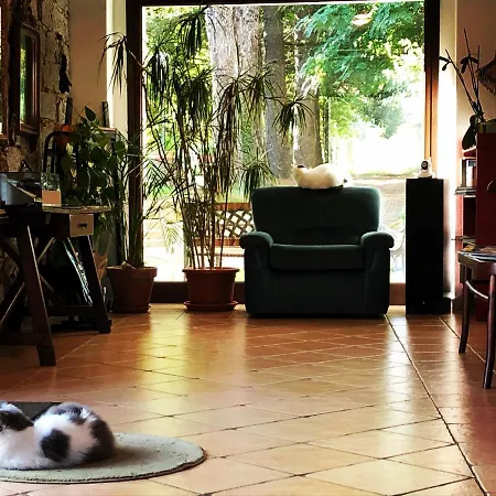 Iradas Bed & Breakfast *